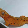 Orange dalmatian crested gecko