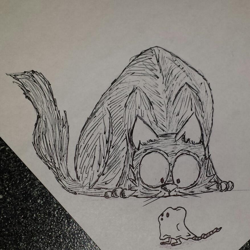 Scaredy cat drawing