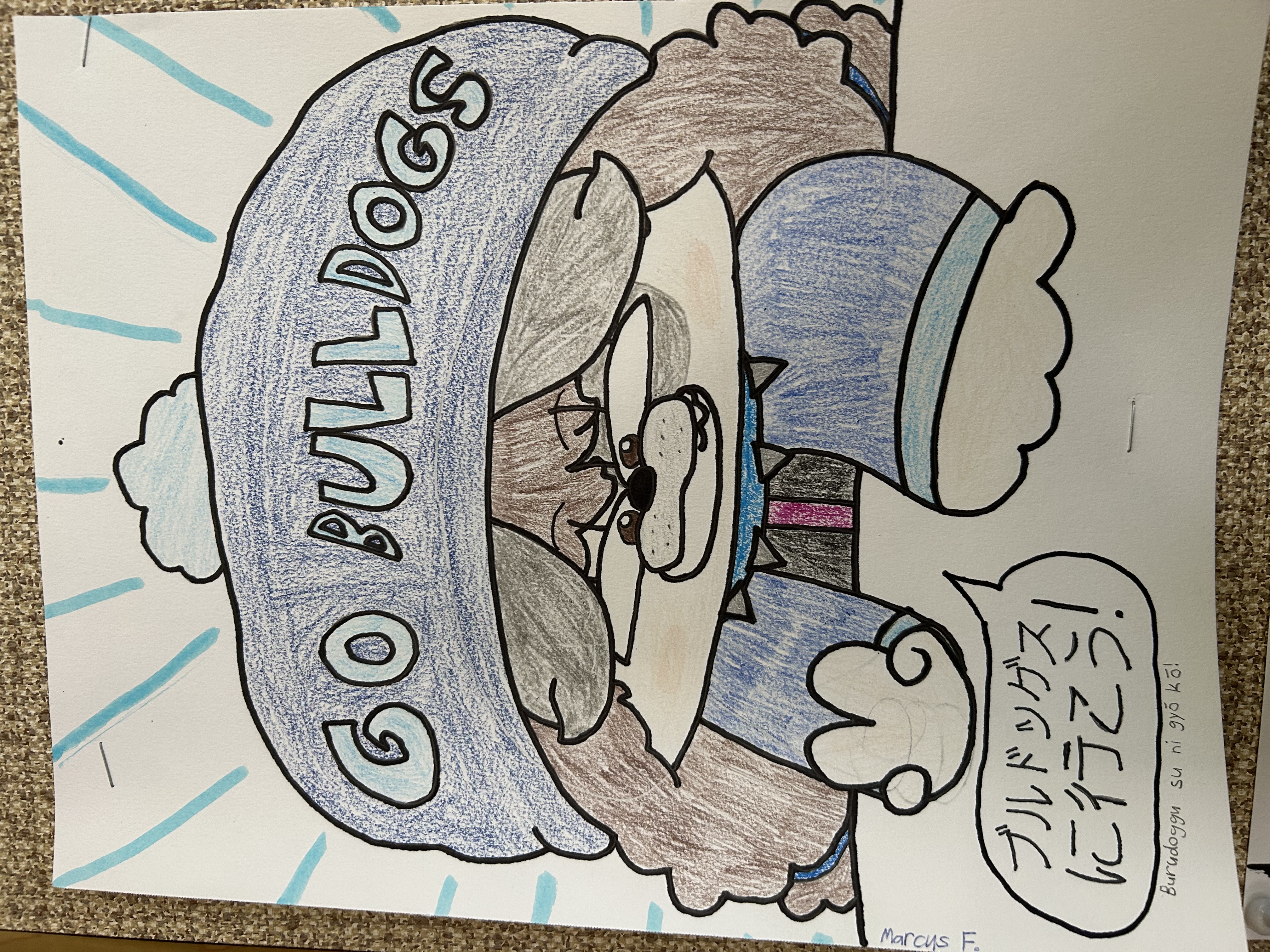 Ollie The Bulldog