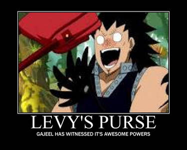 Levy's Purse