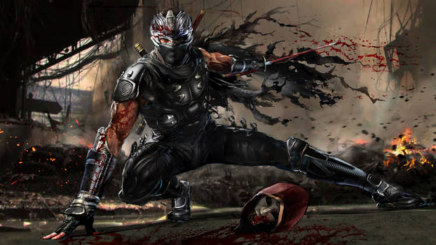 Ninja GaidenWIP