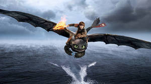 Hiccup and Toothless