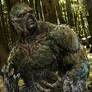 Swamp Thing #9 upgrade