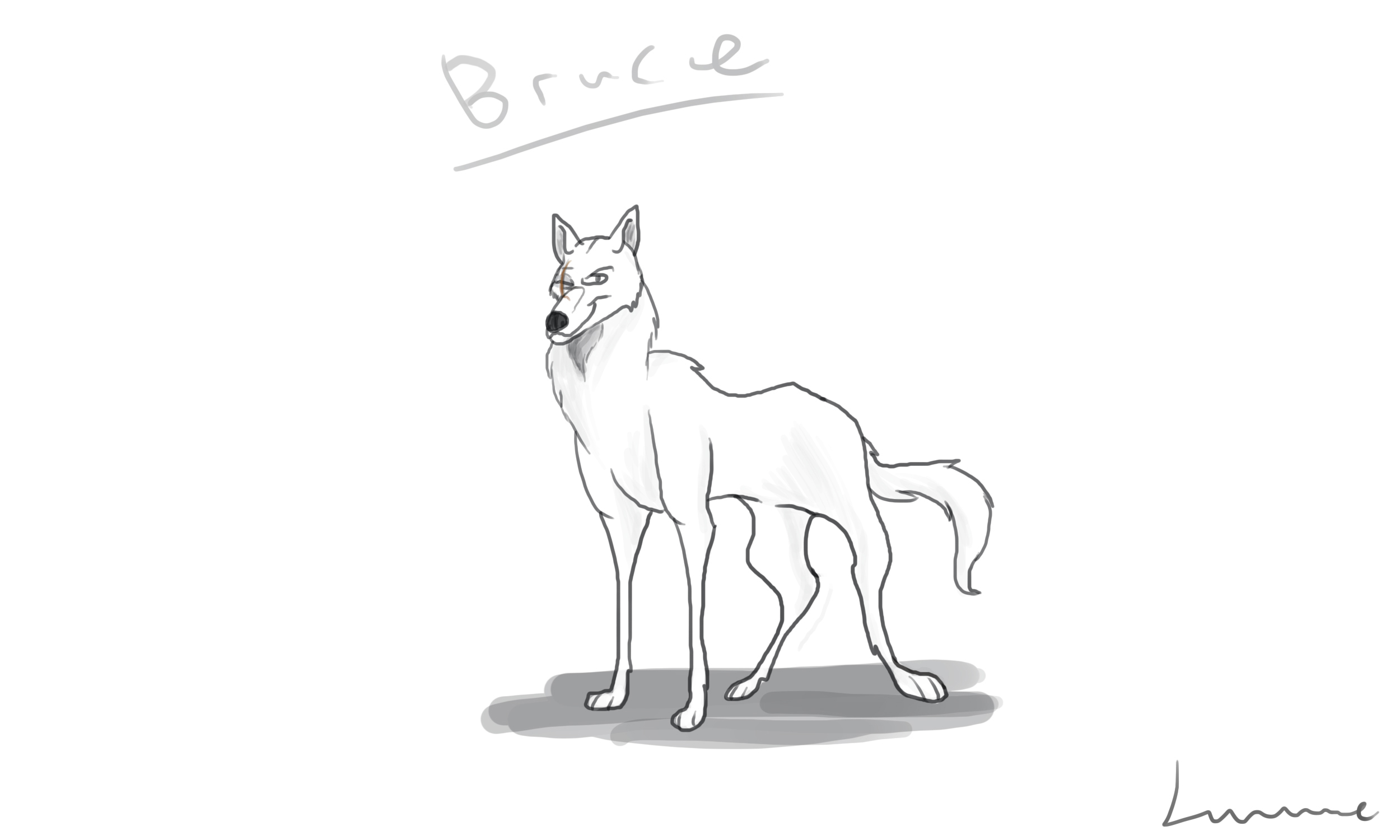 Bruce the Wolf