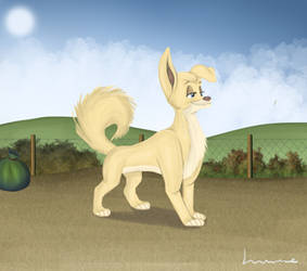 La Belle Et Le Clochard Source On Animation Source Deviantart La Belle Et Le Clochard Source On Animation Source Deviantart