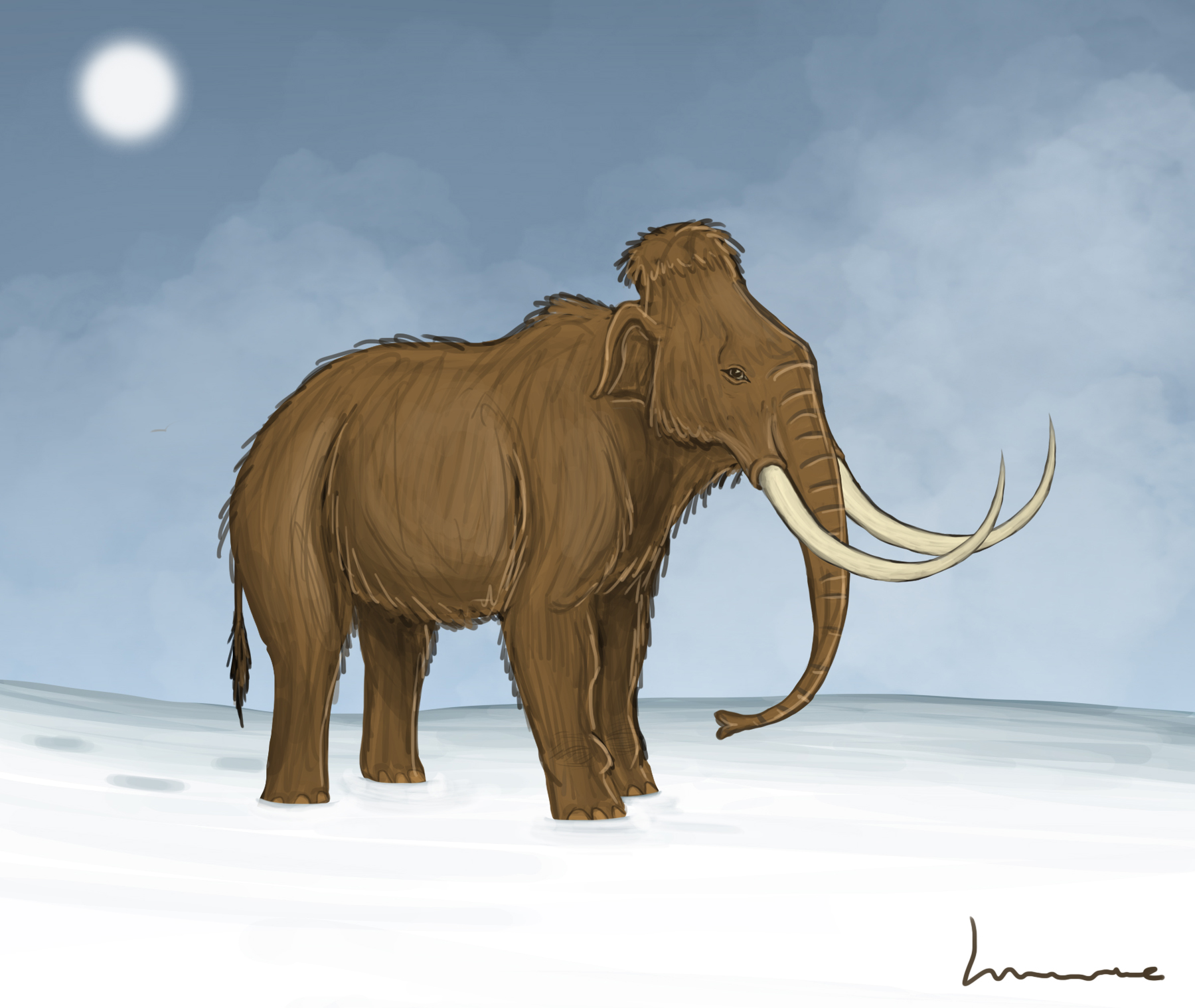 Woolly Mammoth