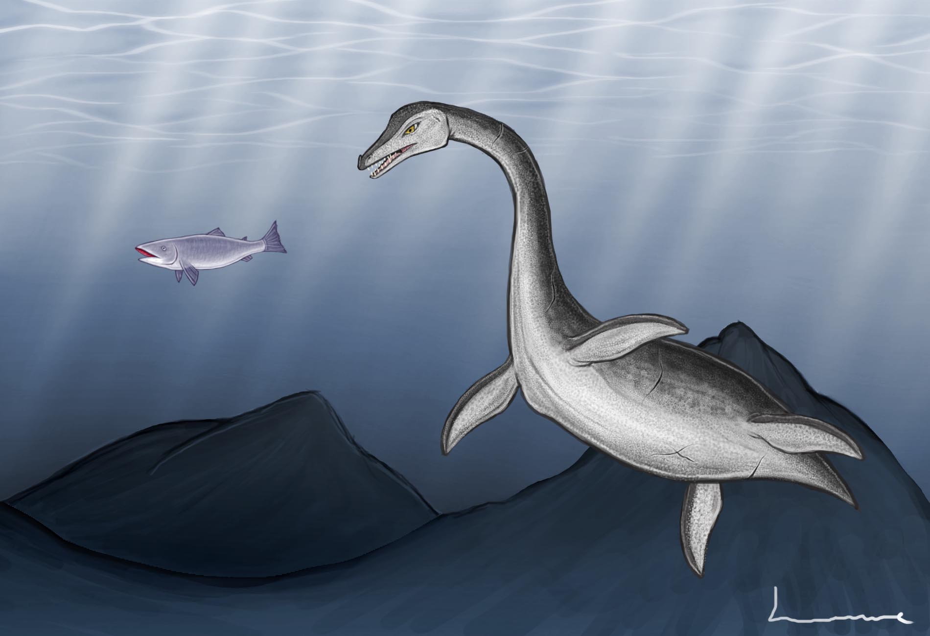 Plesiosaurus 2