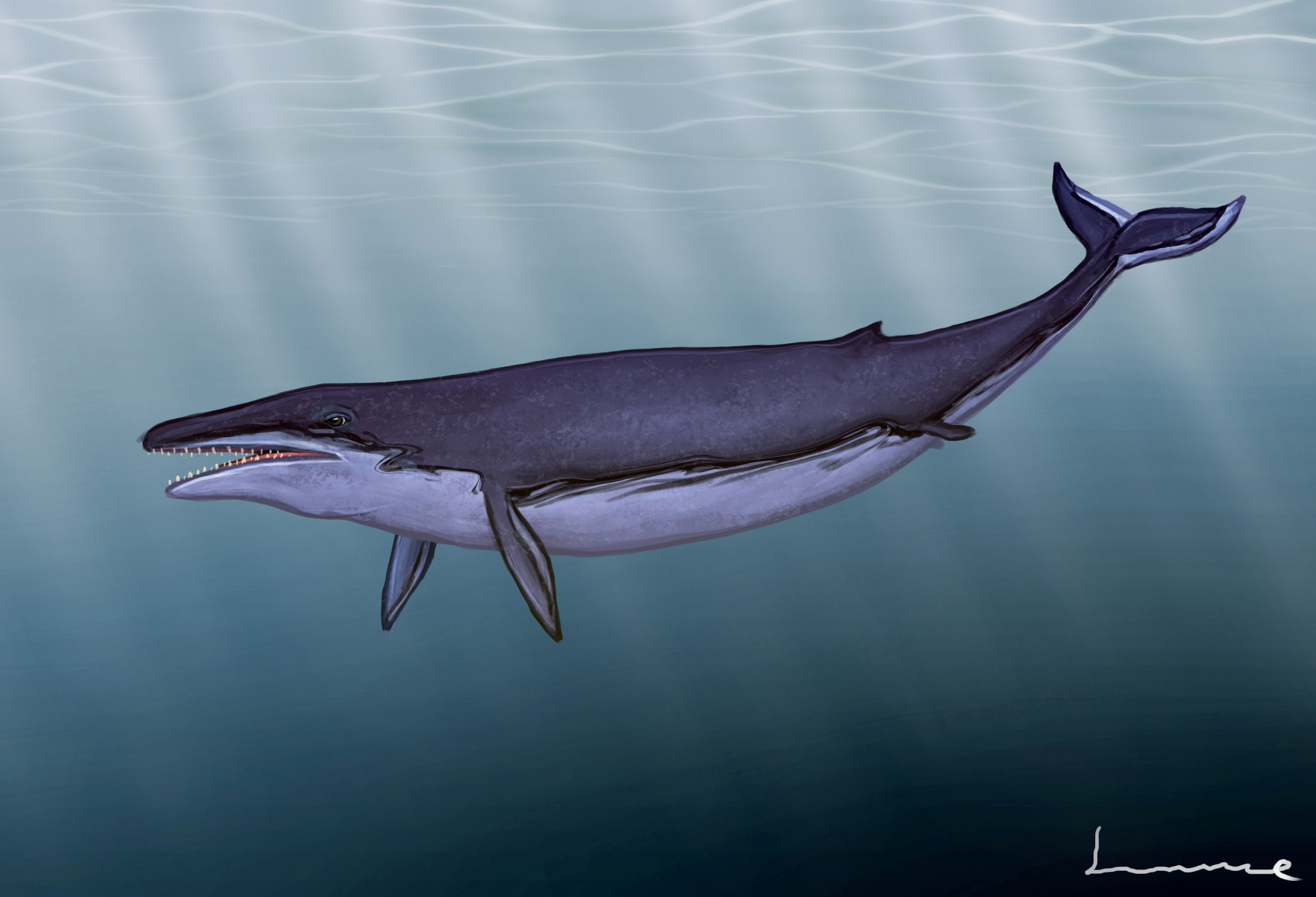 Basilasaruous Basilosaurus by Louisetheanimator on DeviantArt