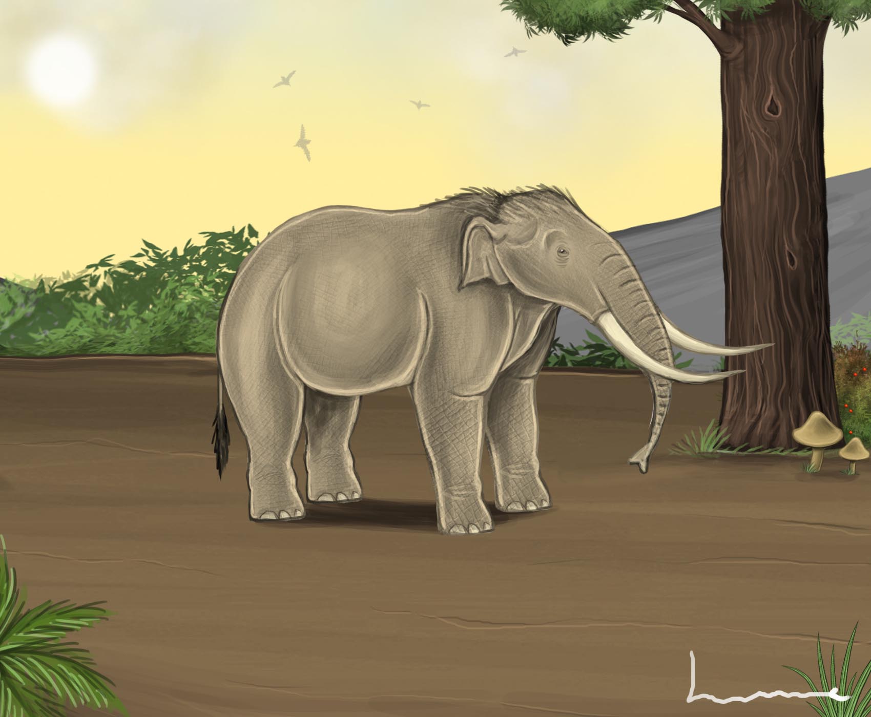 Dwarf Elephant