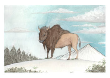 Bison by Louisetheanimator