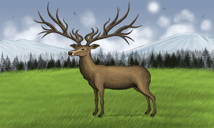 Eucladoceros by Louisetheanimator