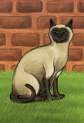 Commission: Siamese Cat Sitting by Louisetheanimator