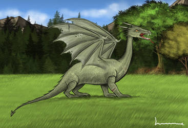 Dragon by Louisetheanimator
