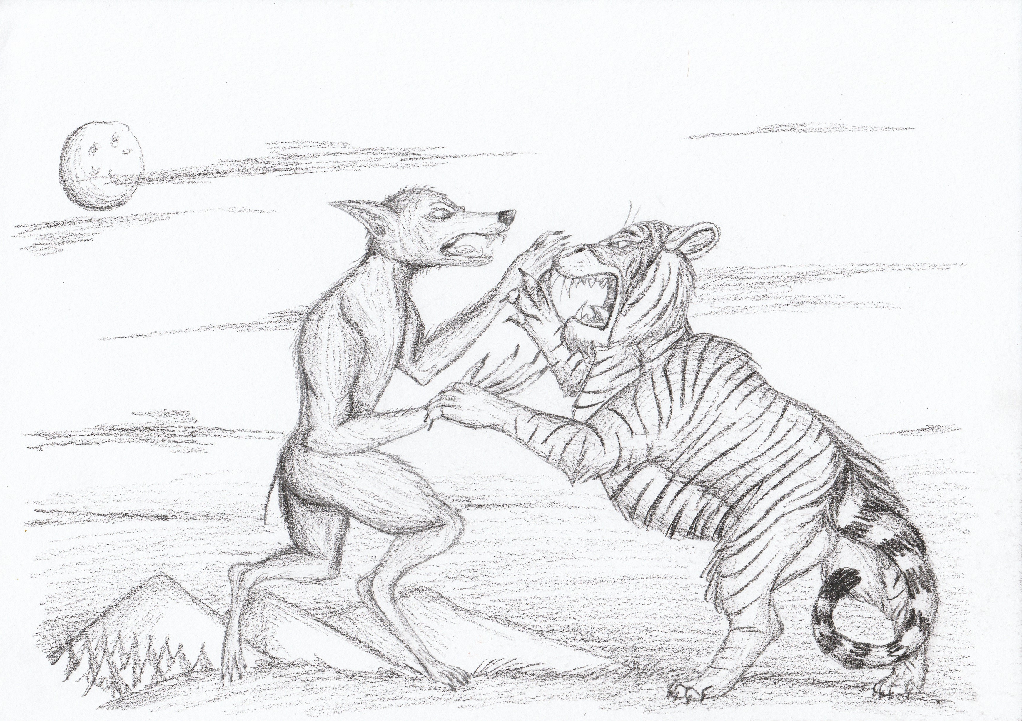 Werewolf vs Tiger by Louisetheanimator