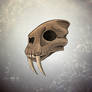 Smilodon Skull