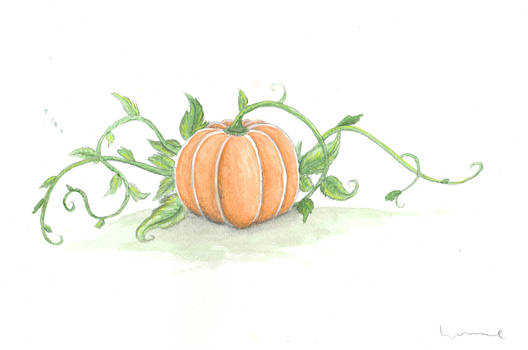 Pumpkin With Vines