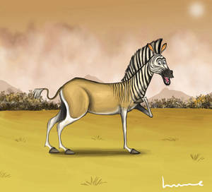 Quagga Madagascar Style