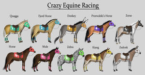 Crazy Equine Racing