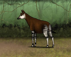 Okapi 2