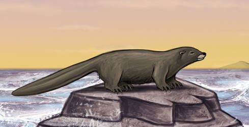 Castorocauda