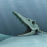 Mosasaur Skull Underwater