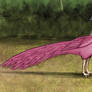 Pink Pigeon-Headed Peacock (Dream)