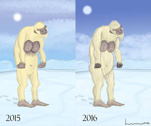 Yeti 2 Year Comparison