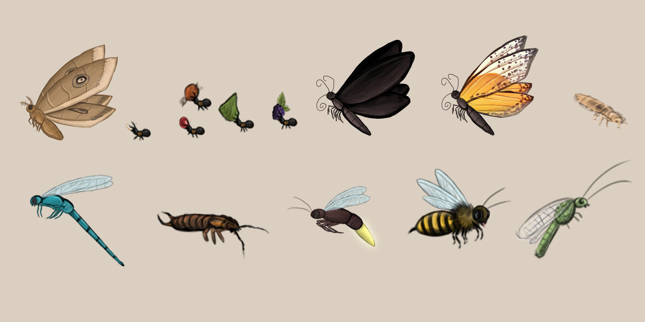 All Insects List Deviantart Insects by Louisetheanimator on DeviantArt