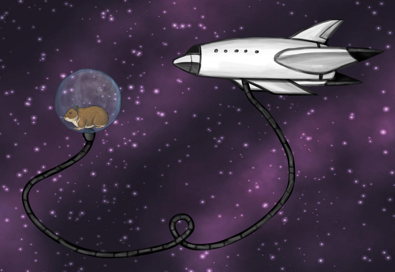 Hamster in Ball Attached to Rocket by Louisetheanimator on DeviantArt