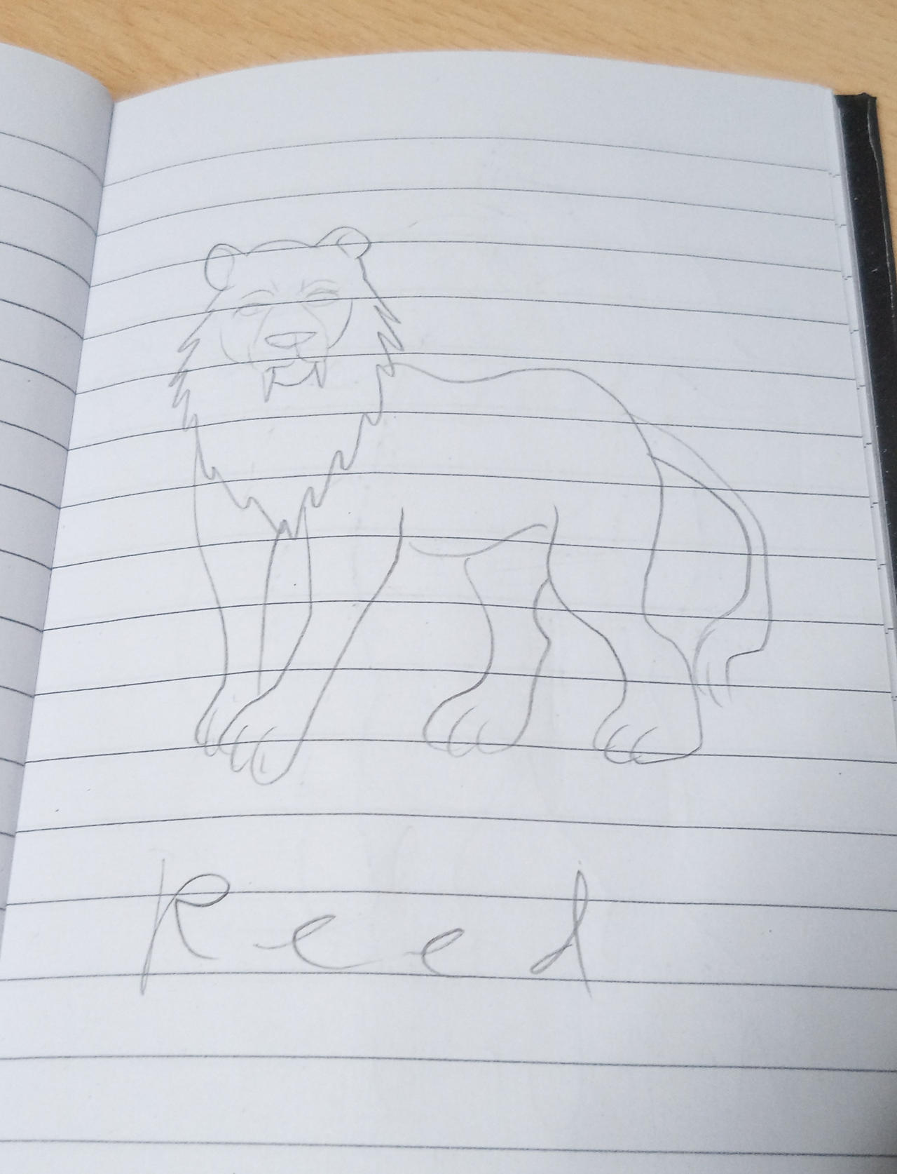 Reed Lined Drawing by Louisetheanimator on DeviantArt