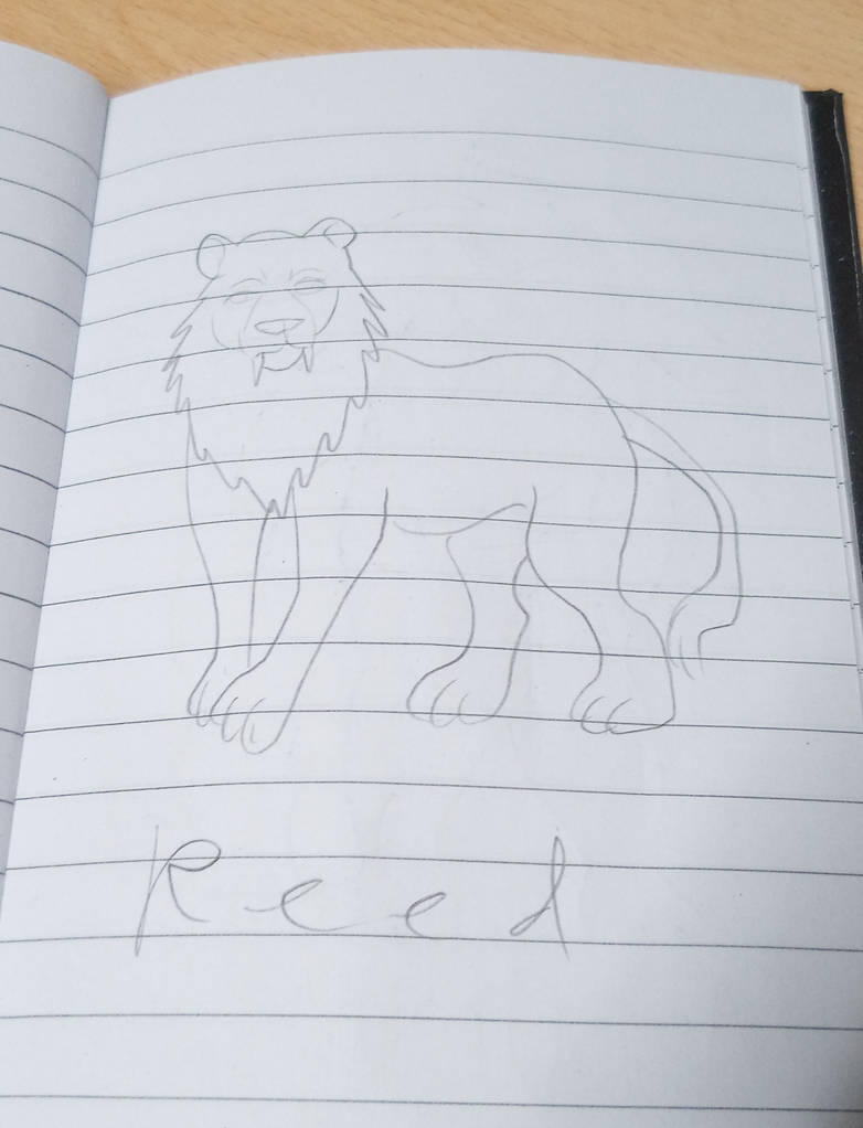 Reed Lined Drawing by Louisetheanimator on DeviantArt