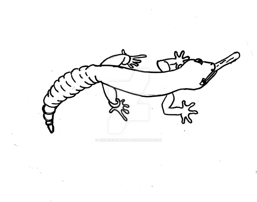 pic Leopard Gecko Coloring Page leopard gecko coloring page by
