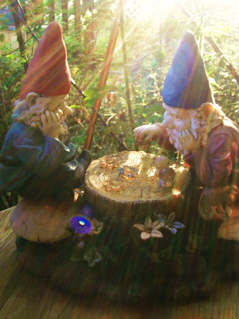 gnomes