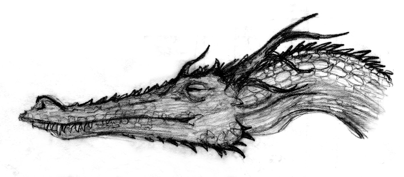 Dragon Head