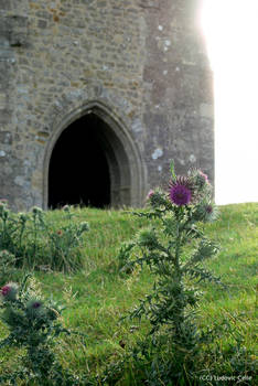 UK - Glastonbury Tower gate
