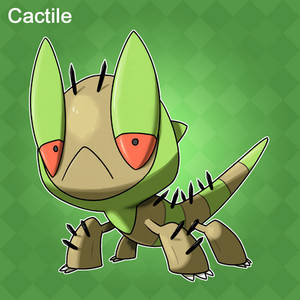 001 Cactile