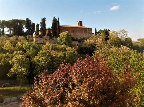 Tuscany hill