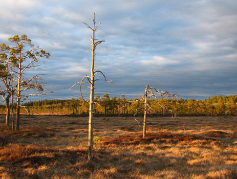 At sunset