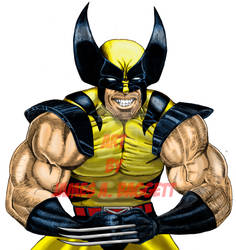 Wolverine