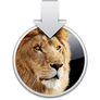 Mac OS X Lion installer icon