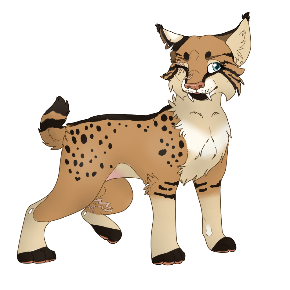 :CLOSED:Saber Bobcat Auction