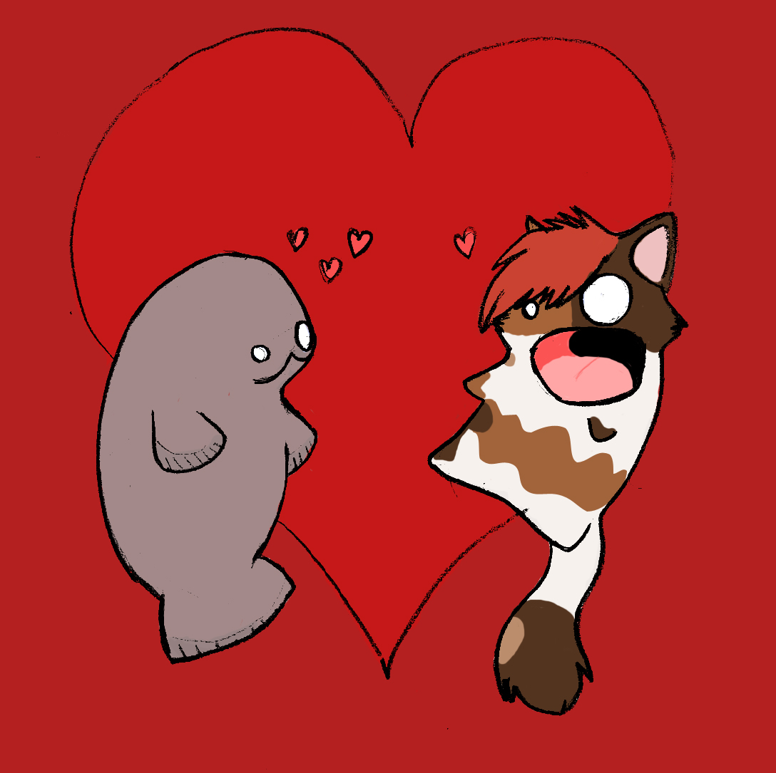 Manatee and Cat