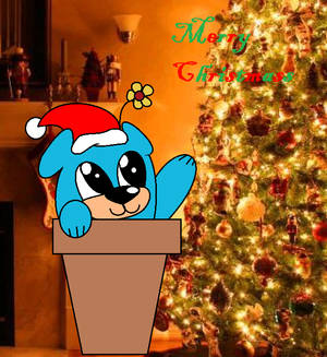 5.0.5 Merry Christmass