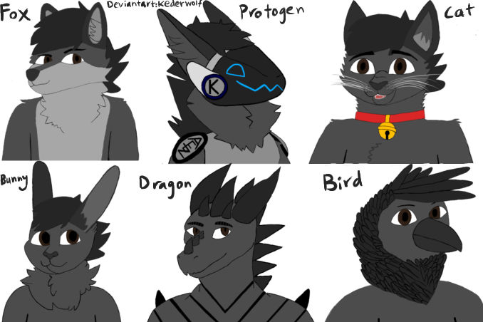 My Fursona keder In Different Furry Species By KederWolf On DeviantArt my-fursona-keder-in-different-furry-species-by-kederwolf-on-deviantart