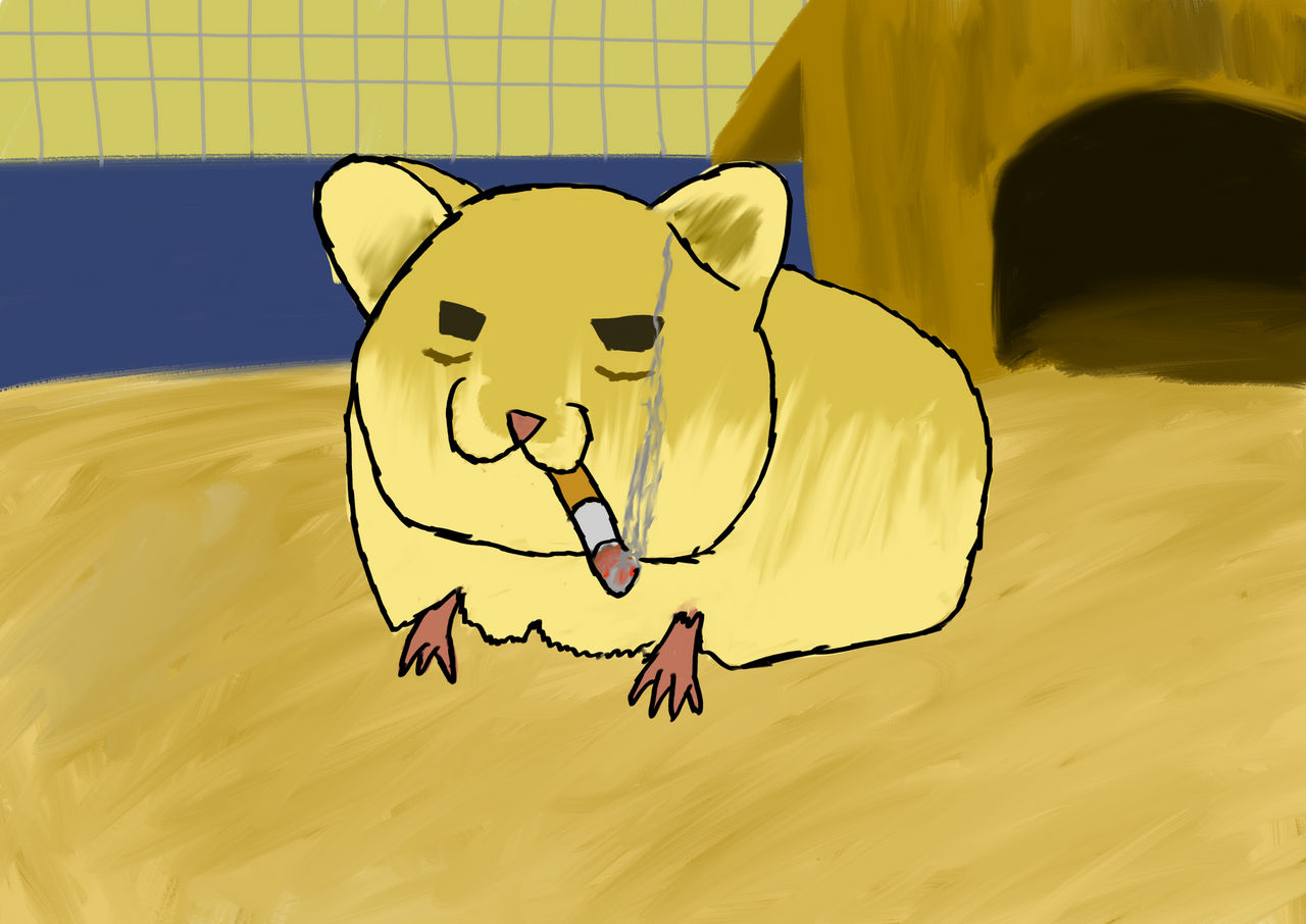 Meme Homik Homik by LoliSenpai69 on DeviantArt