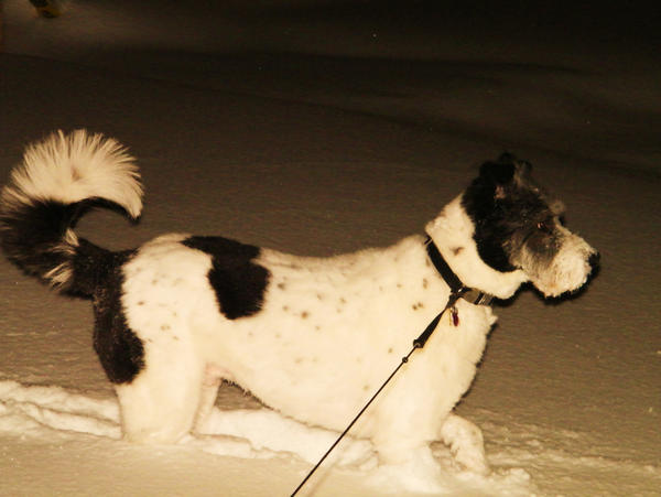 Casper Snapshot by AmAiPaNdA on DeviantArt