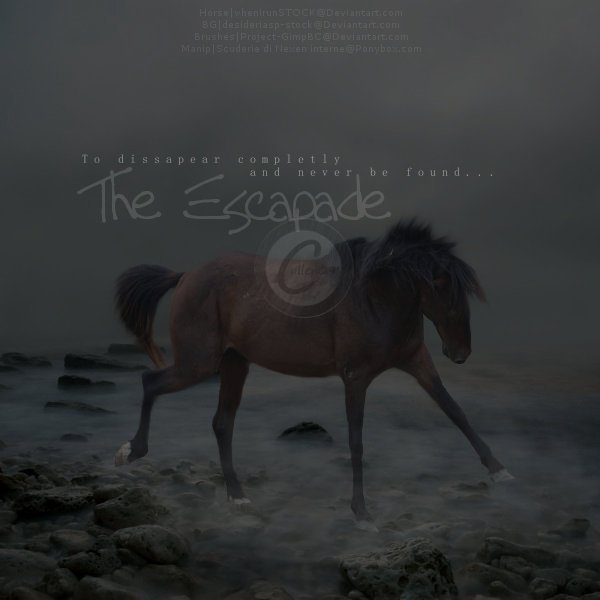 The Escapade