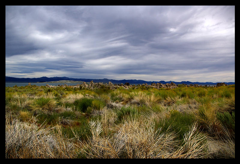 In The Rough The Texture of Rough by TashinaMarie on DeviantArt