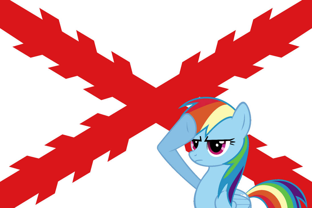 Bandera brony (2/3)