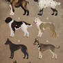 More Mutts -adopts OPEN